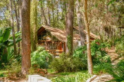 Imagen 8 de la propiedad