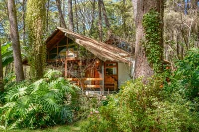 Imagen 11 de la propiedad