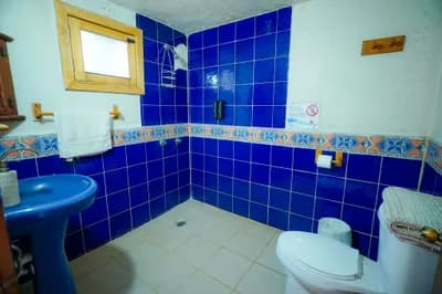 Imagen 12 de la propiedad