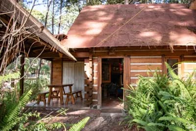 Imagen 28 de la propiedad