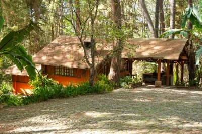 Imagen 6 de la propiedad