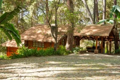 Imagen 20 de la propiedad